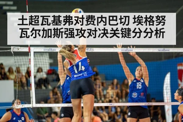 volleyball match action